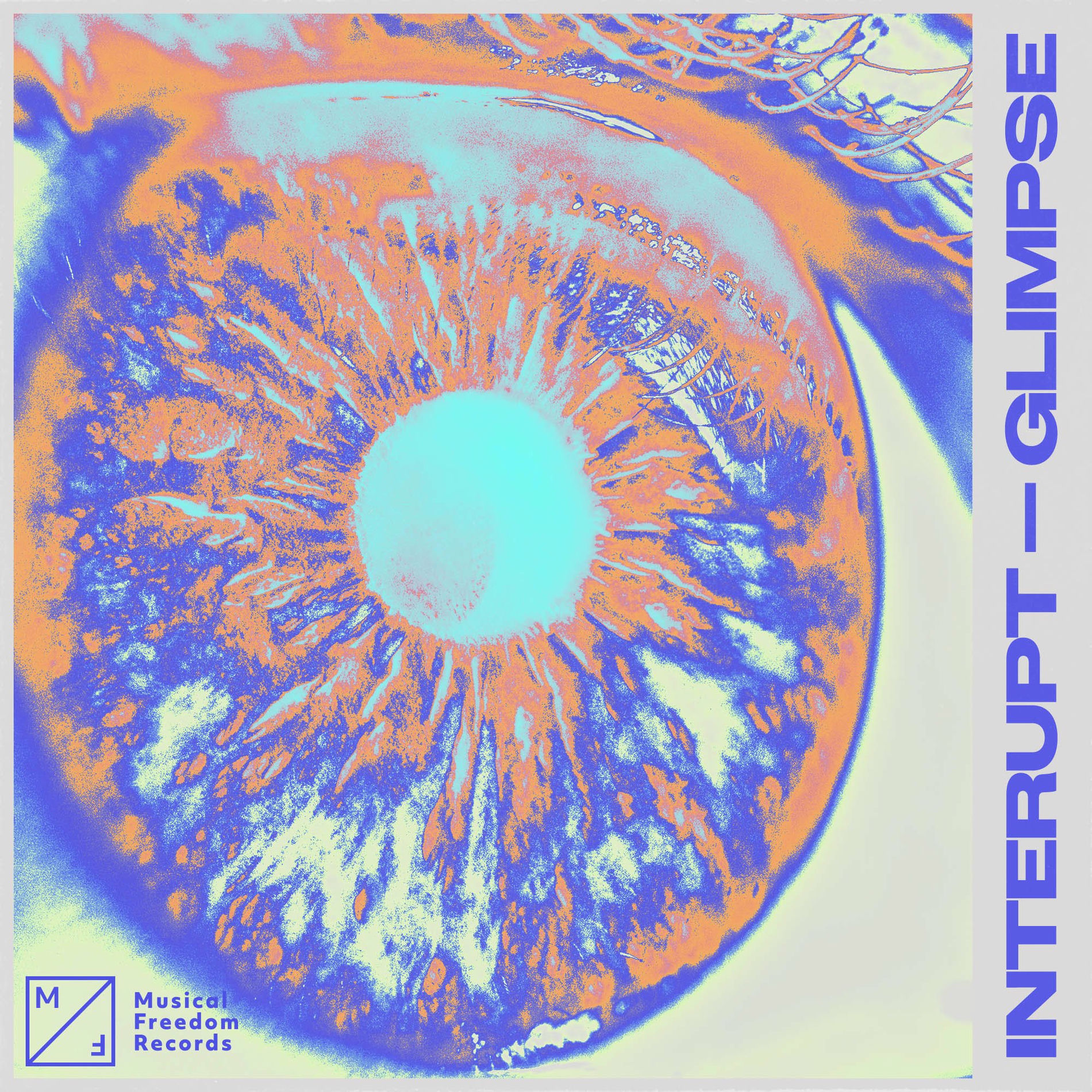 Album cover of Glimpse