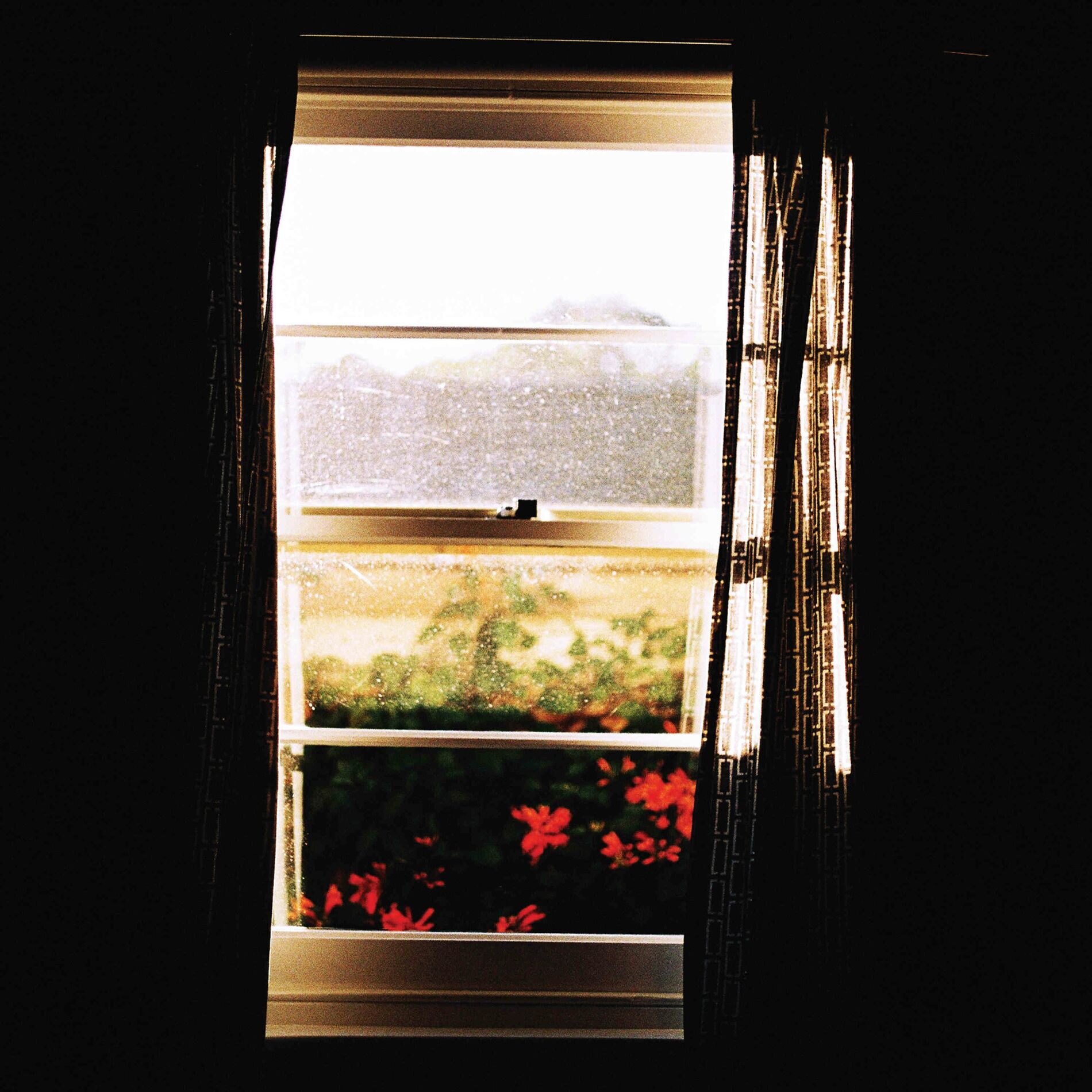 Album cover of Cerulean
