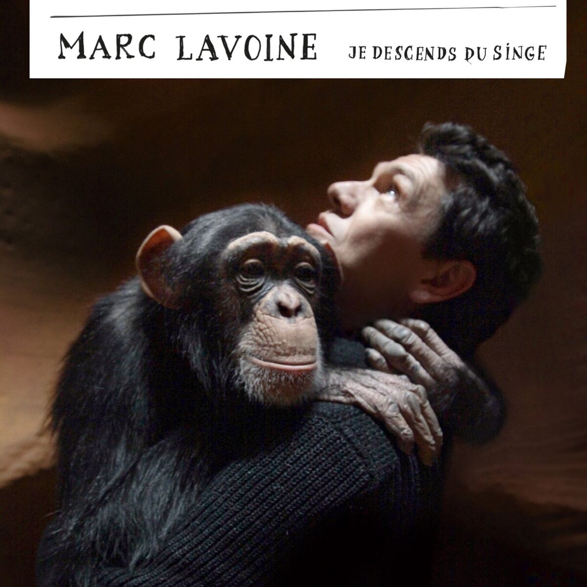 Album cover of Je descends du singe
