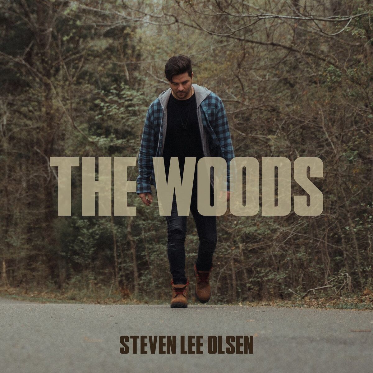 Album cover of The Woods