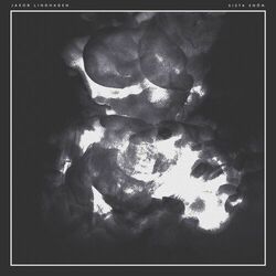 Cover of Sista Snön