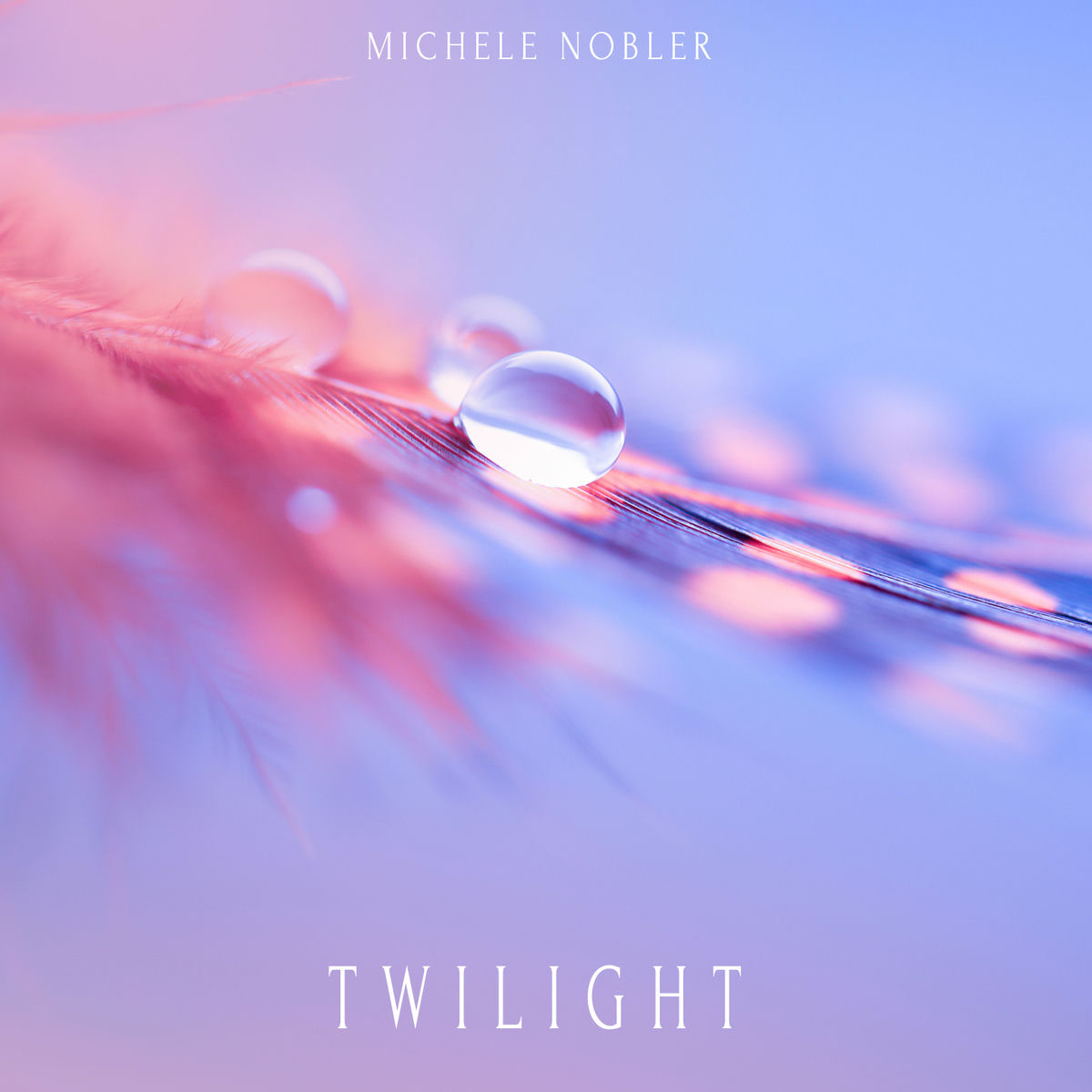 Album cover of Twilight