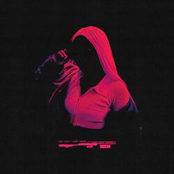 Cover of They Didn’t Know II