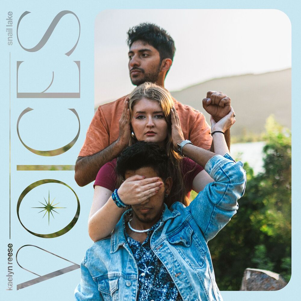Picture of VOICES