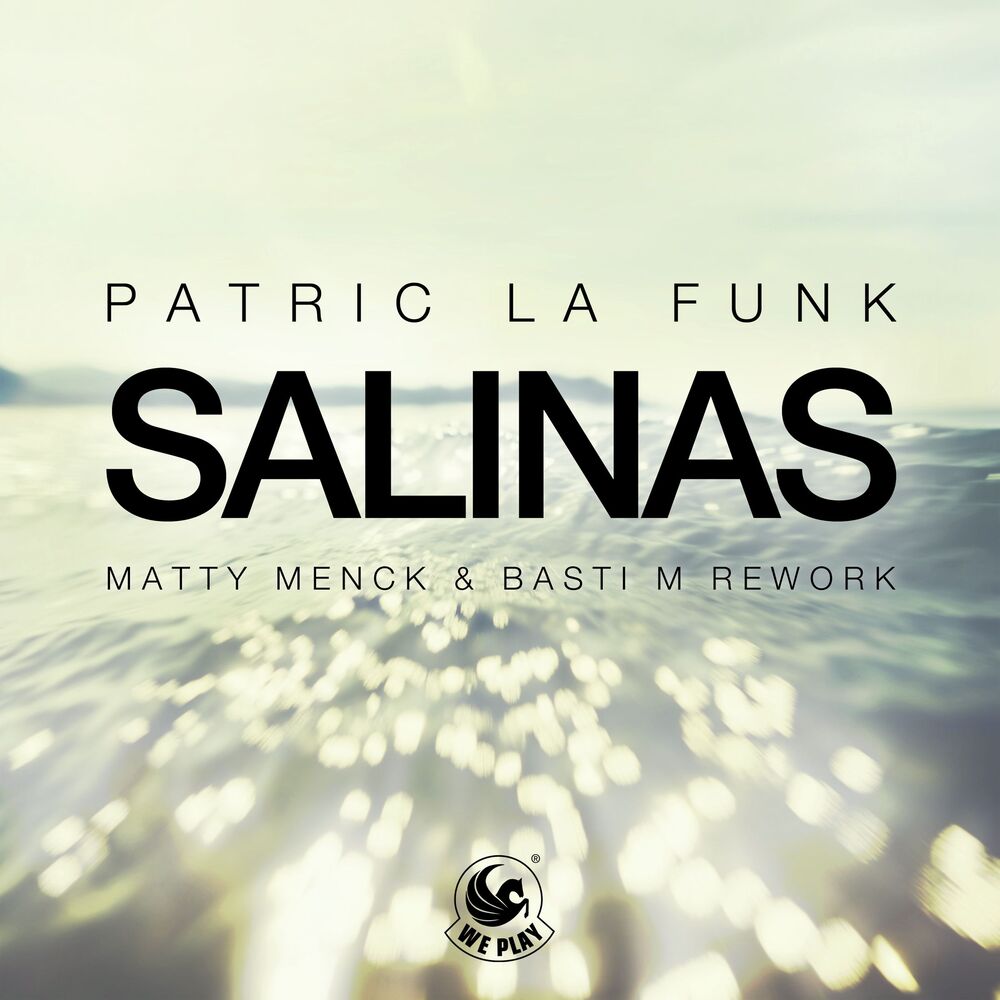 Picture of Salinas (Matty Menck & Basti M Rework)