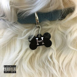 Cover of Real Friends
