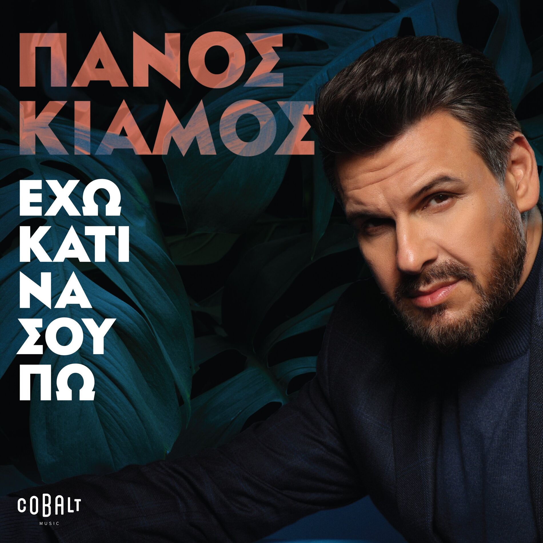 Album cover of Echo Kati Na Sou Po