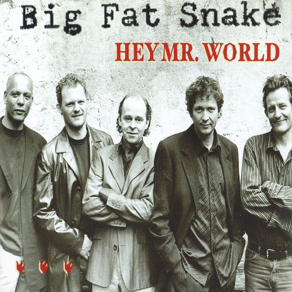 Picture of Hey Mr. World