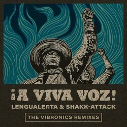 Cover of A Viva Voz! (The Vibronics Remixes)