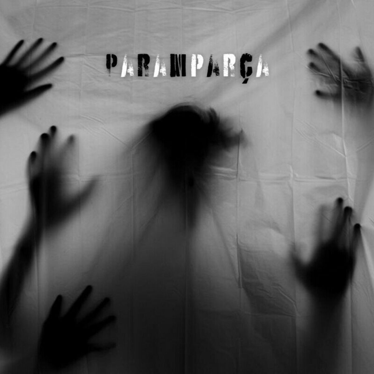 Album cover of Paramparça