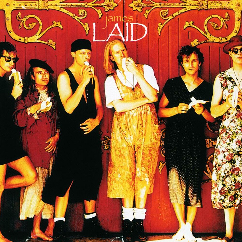 Picture of Laid