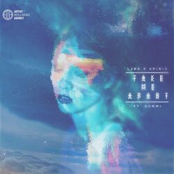 Cover of Take Me Apart