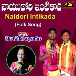 Cover of Naidori Intikada