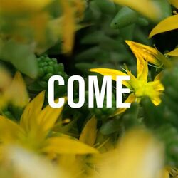 Cover of Come