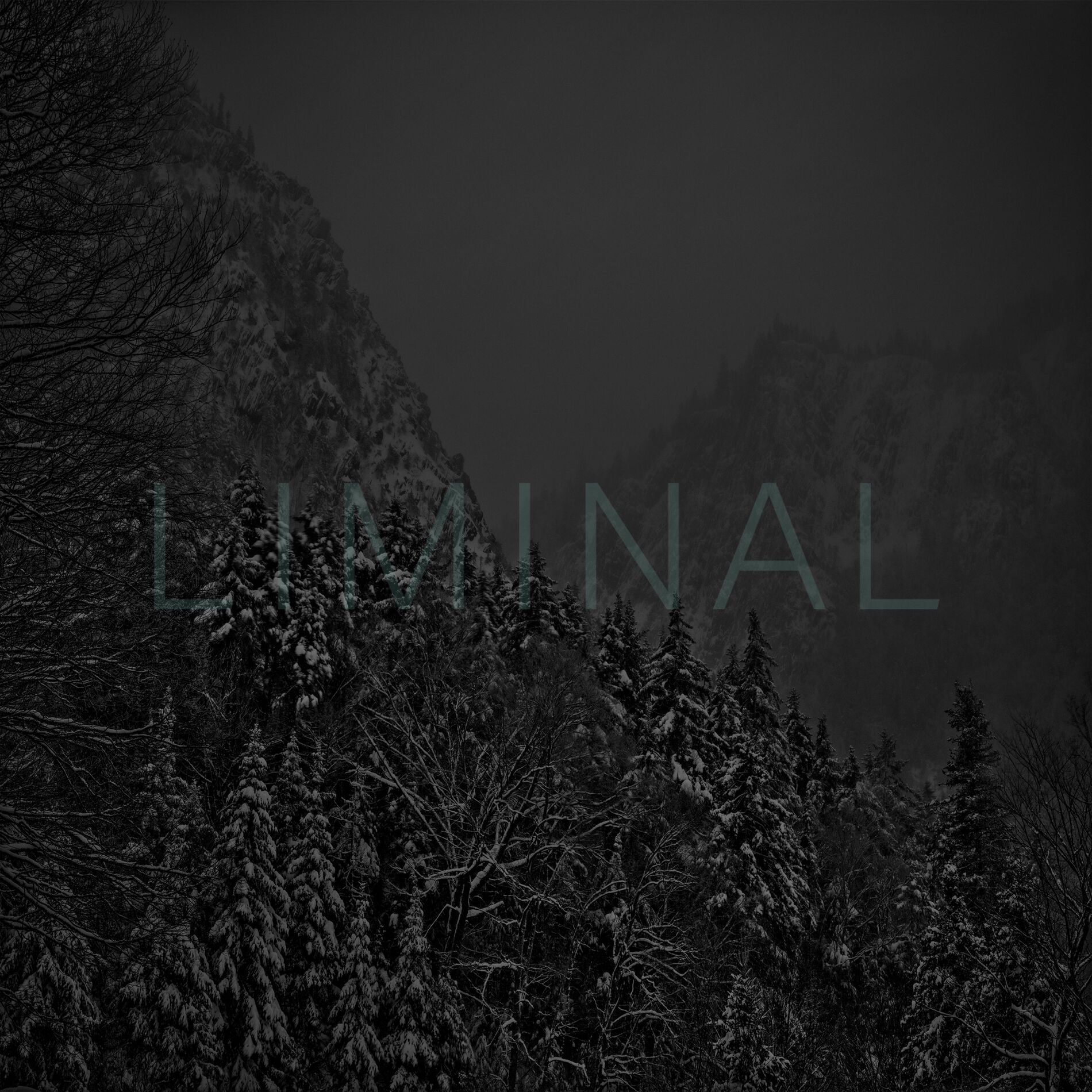 Album cover of Liminal