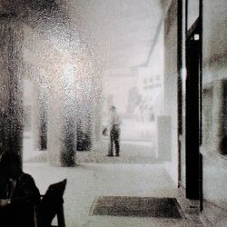 Cover of voci dal corridoio