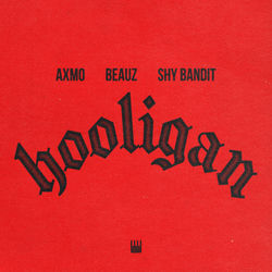 Hooligan