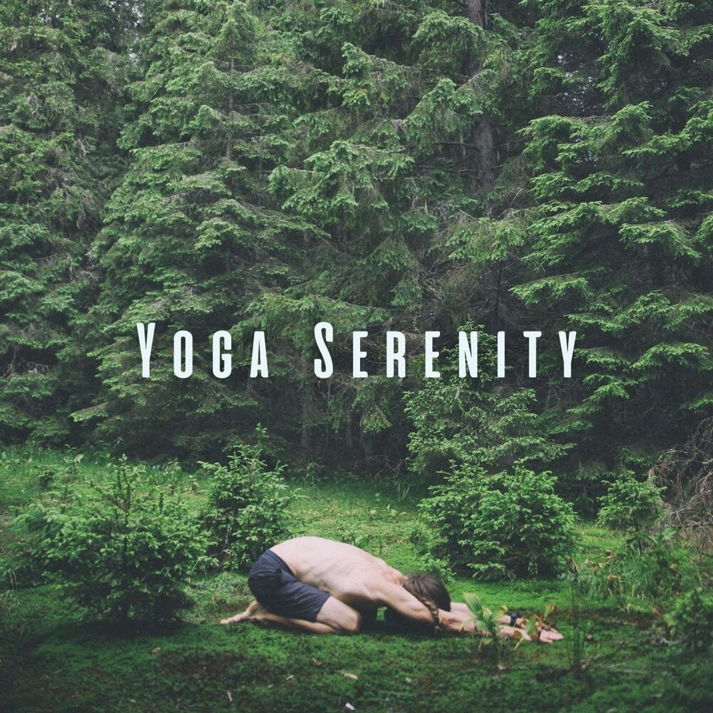Picture of Yoga Serenity: Chill Sounds of Nature for Peaceful Practice