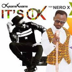 Cover of Its Ok