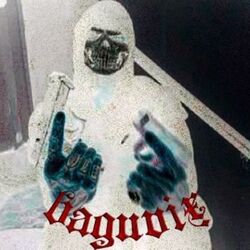 Cover of BAGUVIX