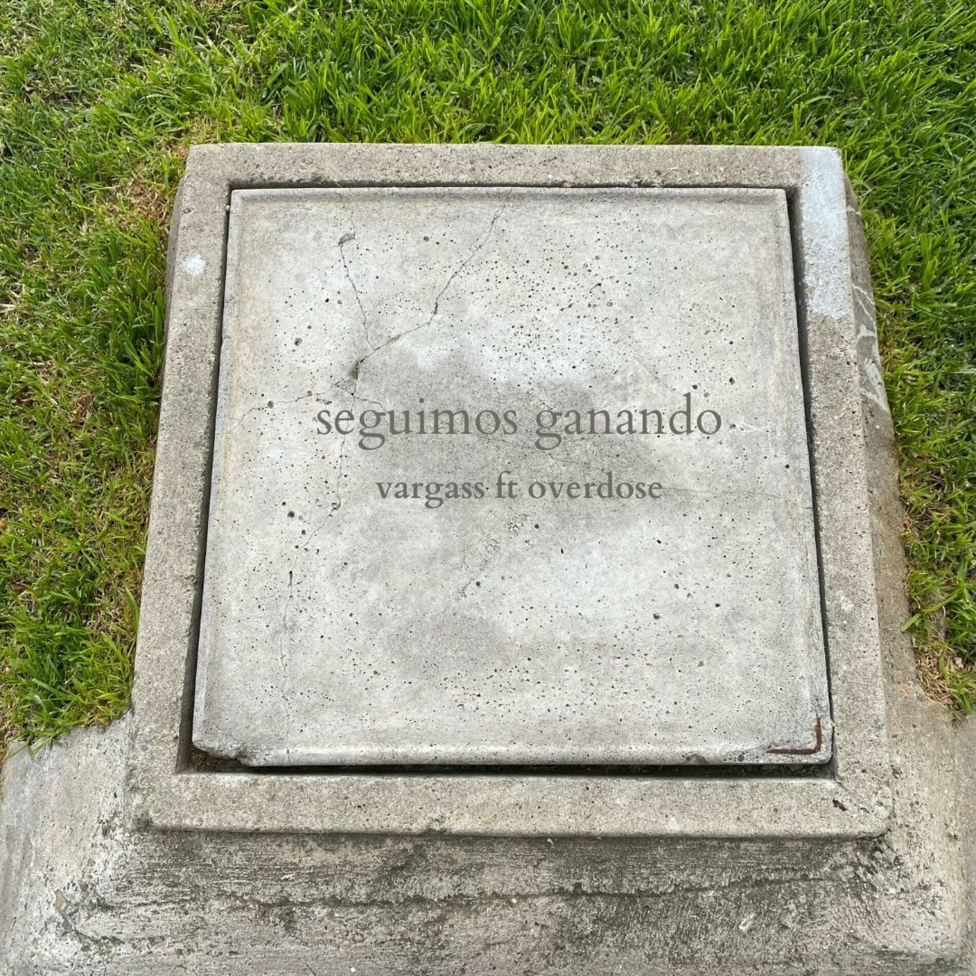 Album cover of seguimos ganando (feat. overdose)