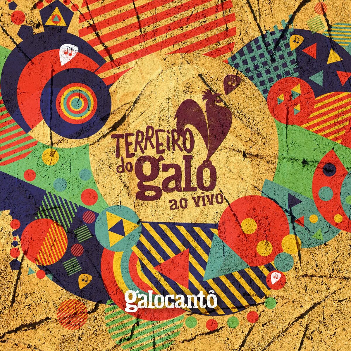 Album cover of Terreiro do Galo (ao Vivo)
