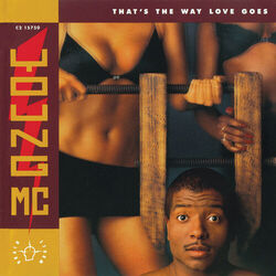 Cover of That's The Way Love Goes