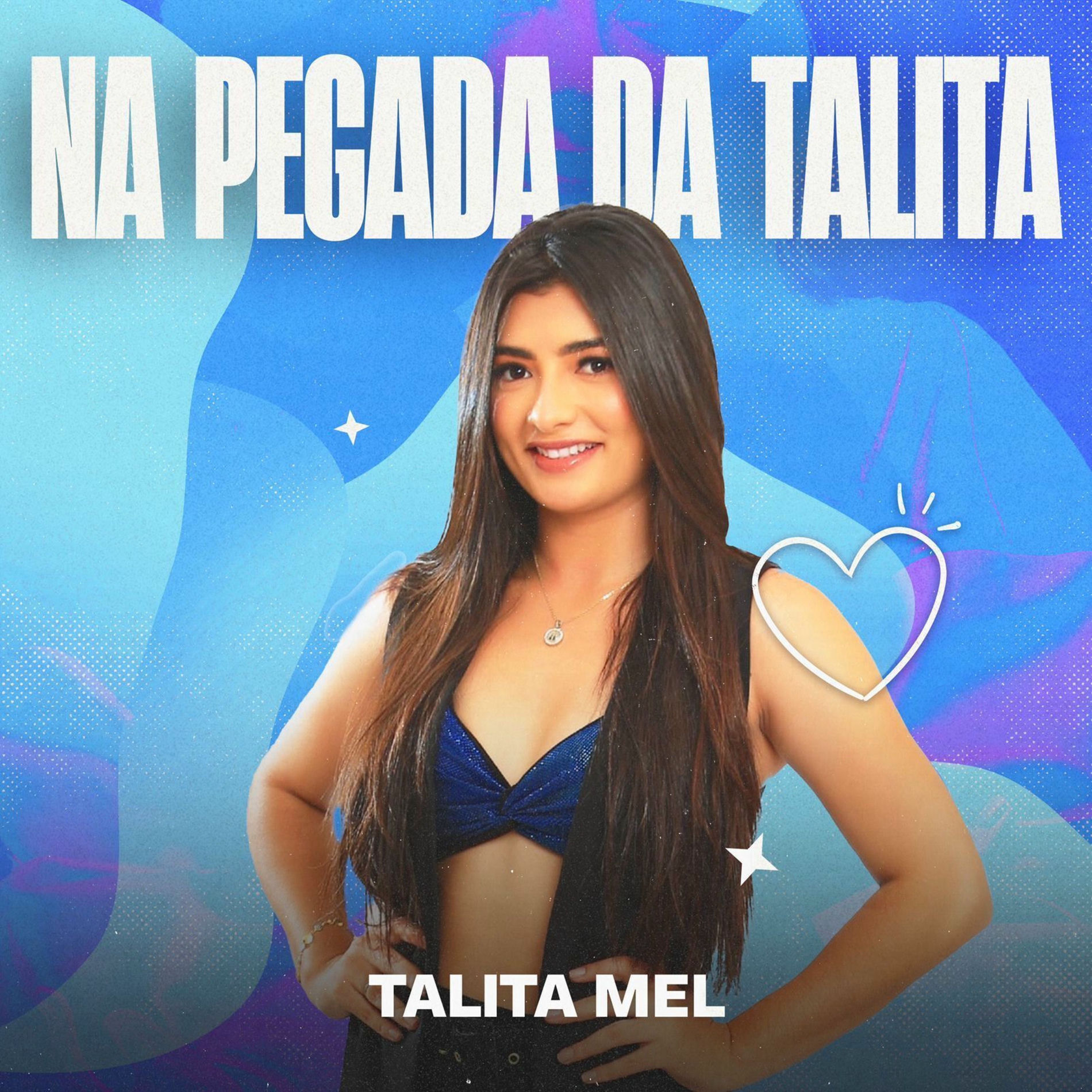 Album cover of Melzinho