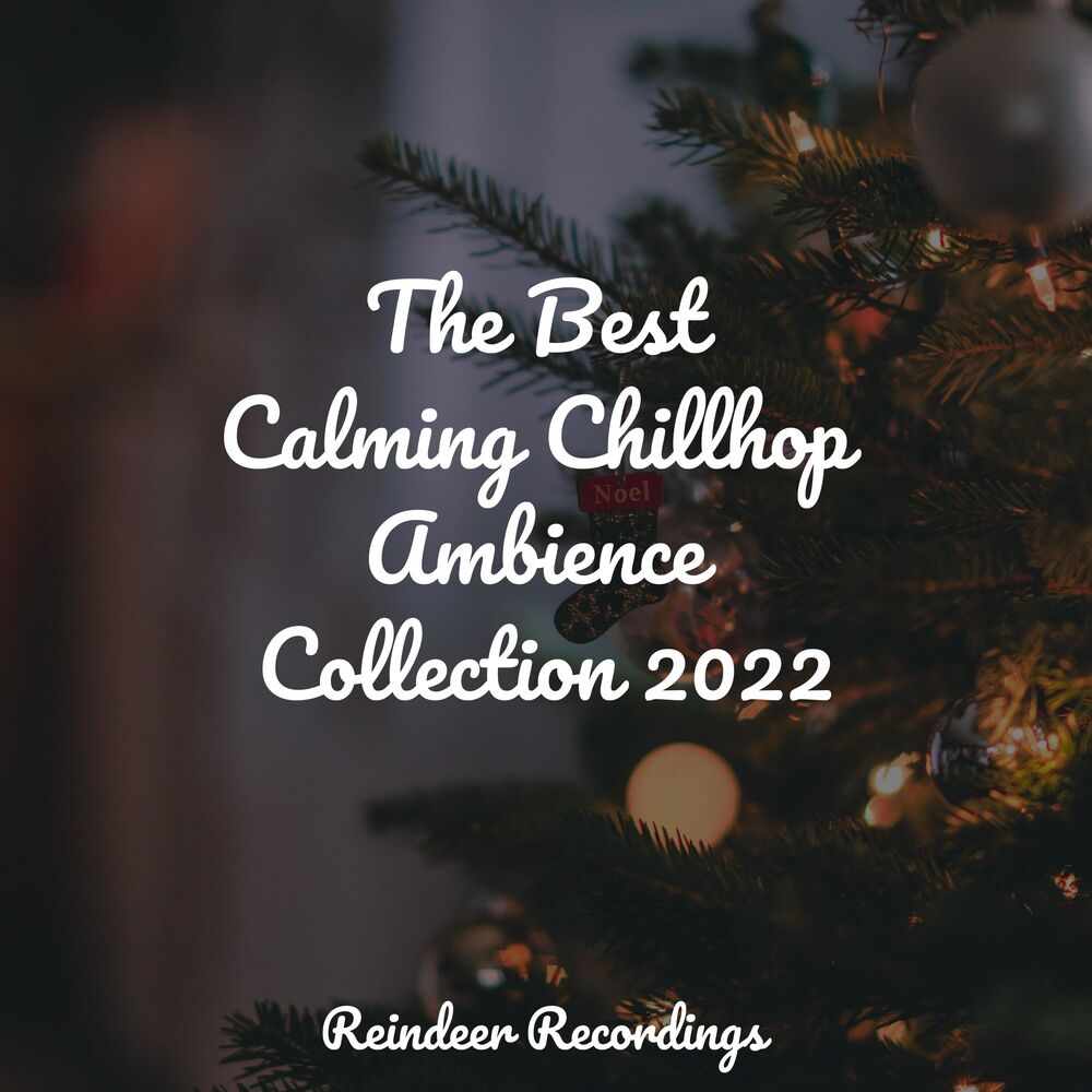 Picture of The Best Calming Chillhop Ambience Collection 2022