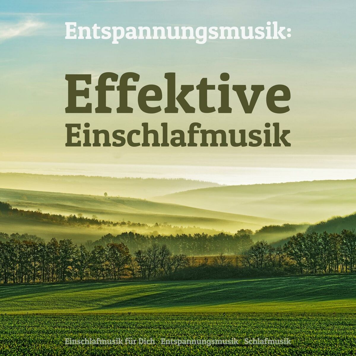 Album cover of Sonnentag