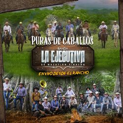 Cover of Puras De Caballos En Vivo Desde El Rancho