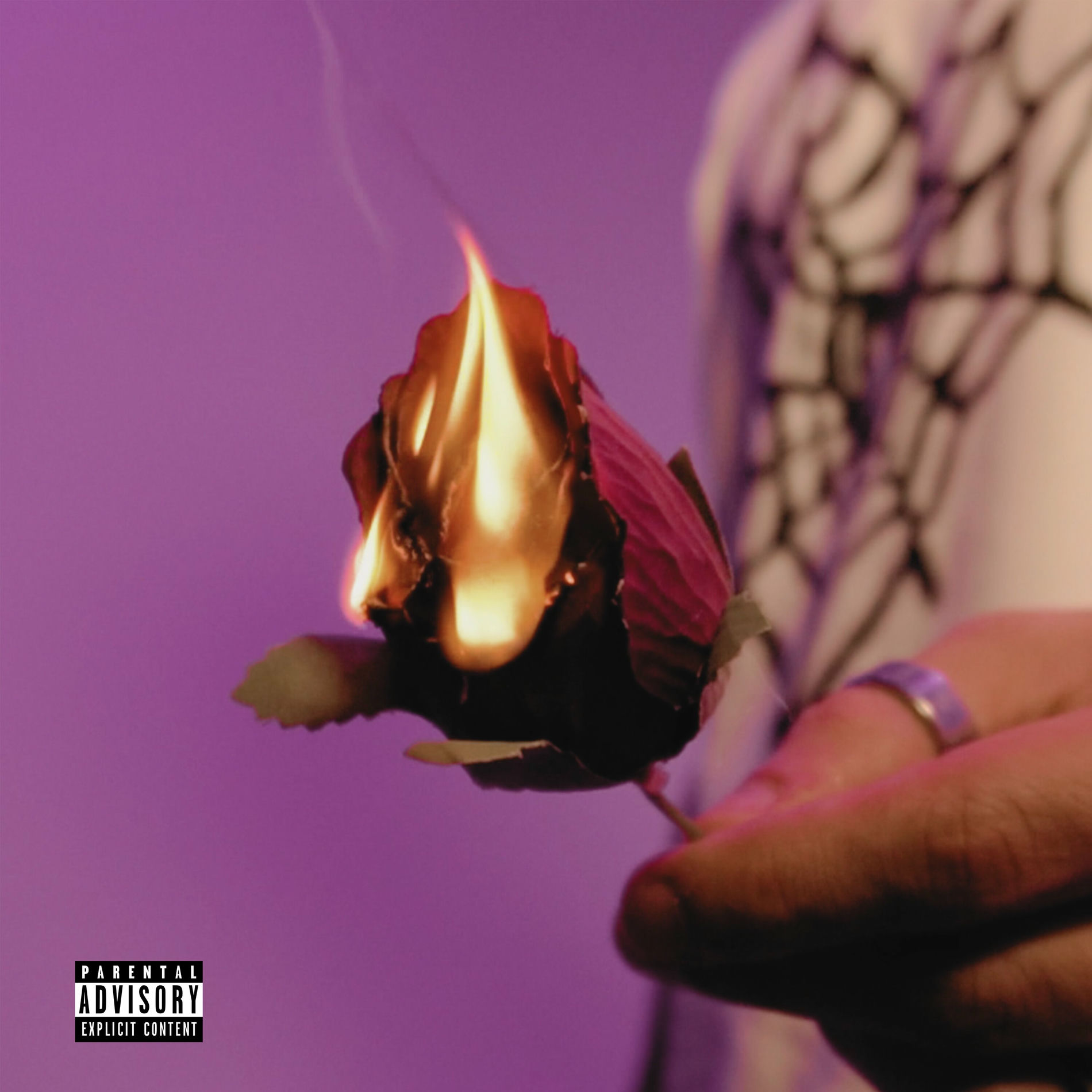Album cover of Perc & Luv