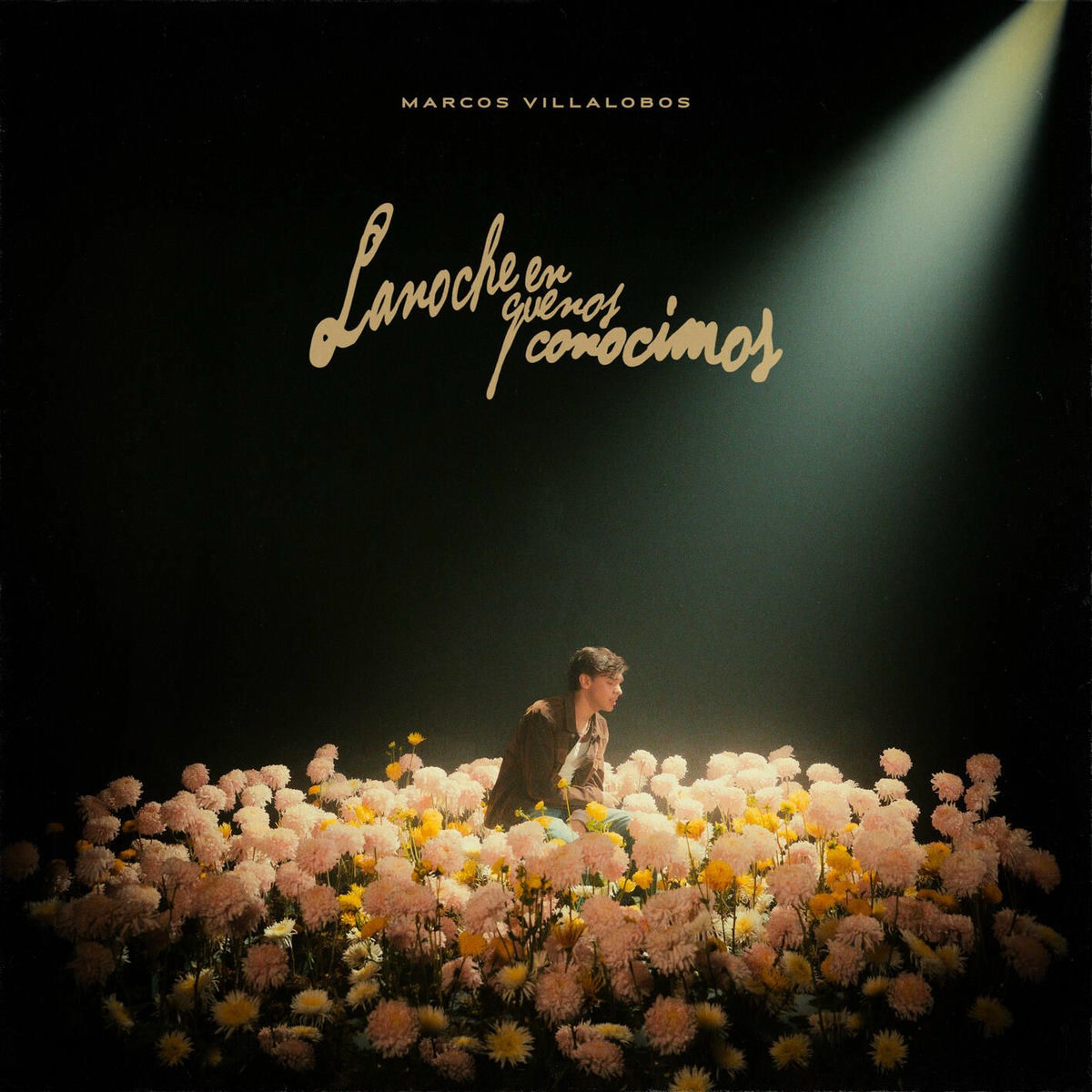 Album cover of La Noche en Que Nos Conocimos