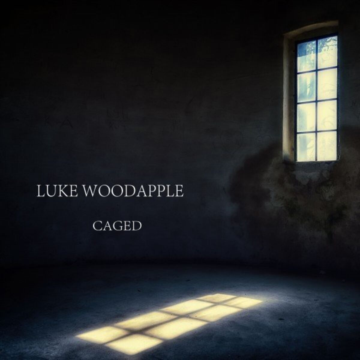 Album cover of Caged