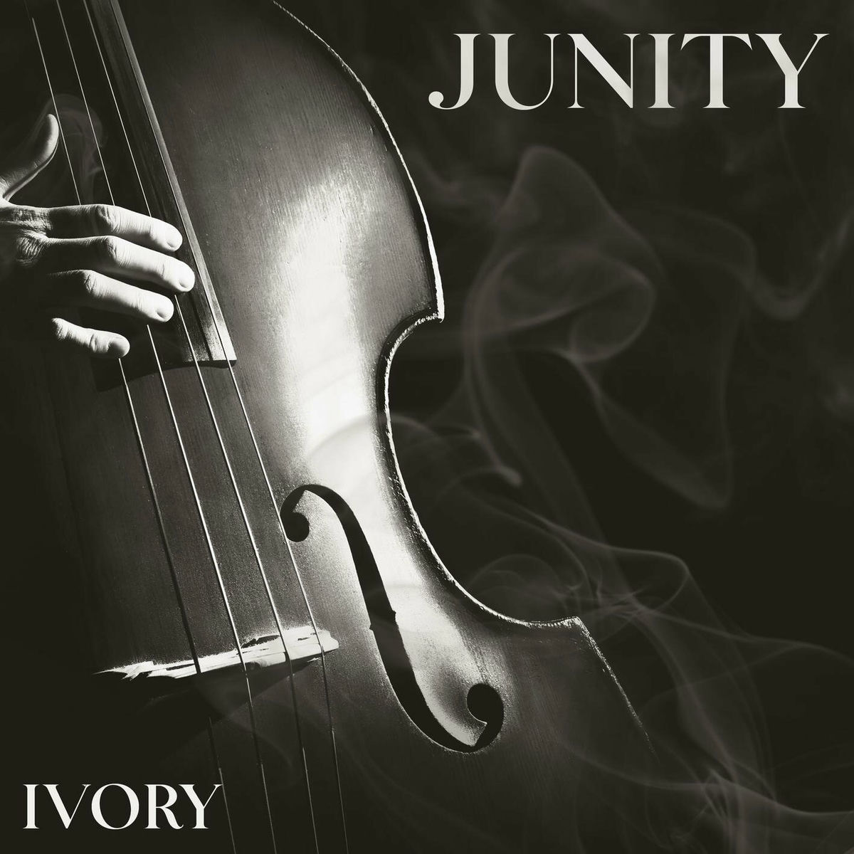 Album cover of Ivory