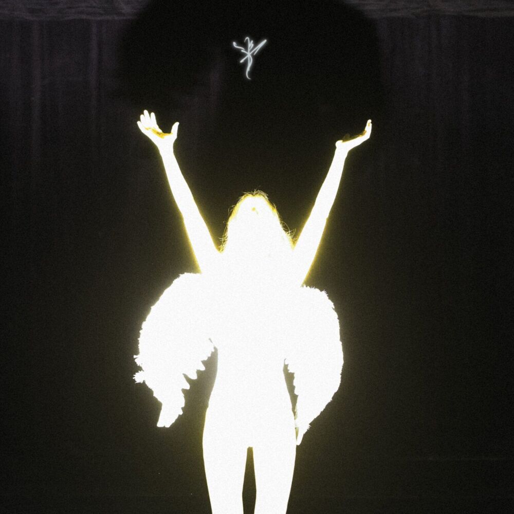 Picture of Silhouette sped up