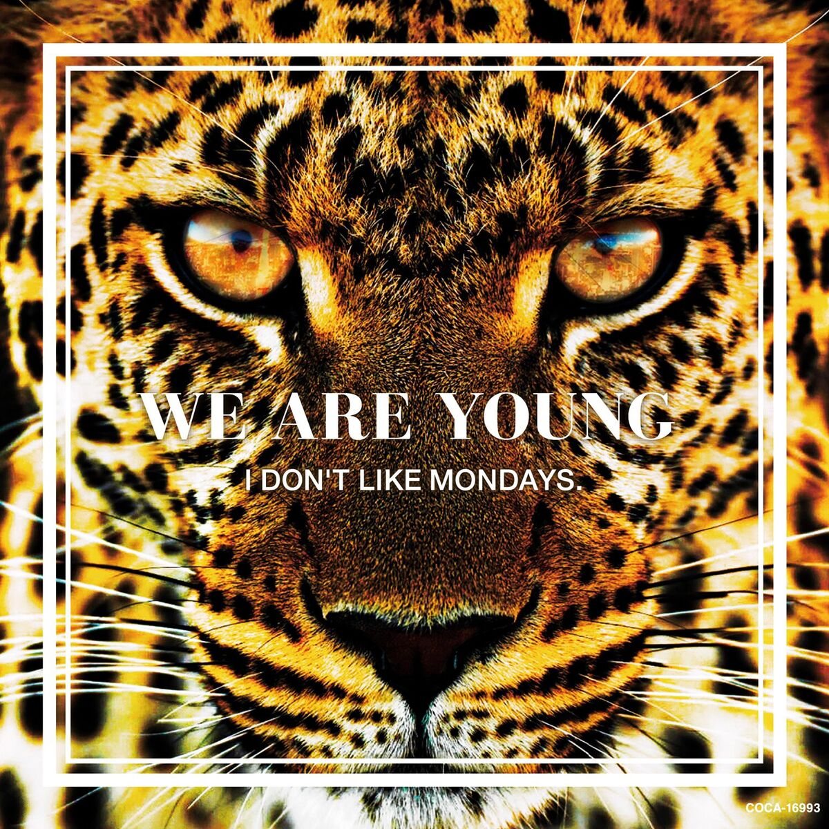 Album cover of WE ARE YOUNG / Super Special
