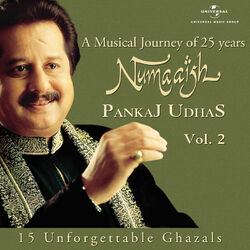 Cover of Numaaish, Vol. 2
