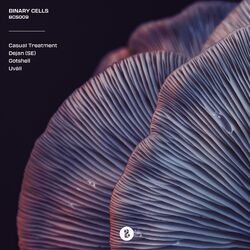Cover of BCS009