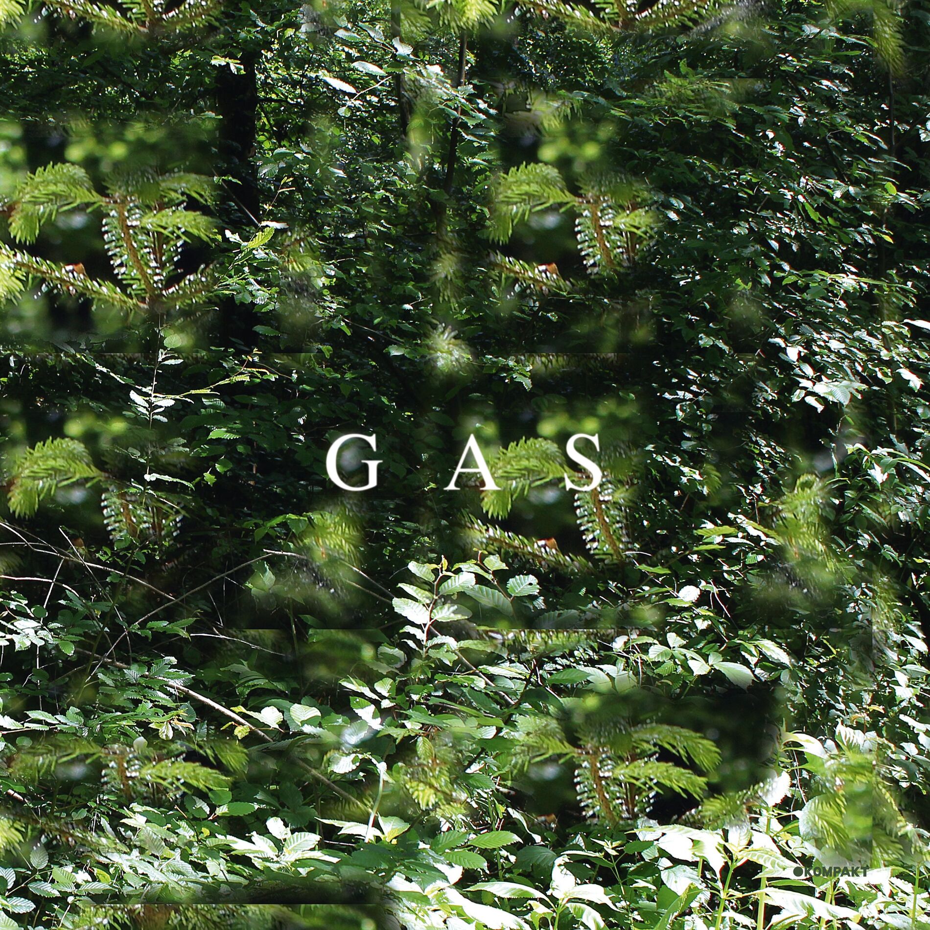 Album cover of Der Lange Marsch