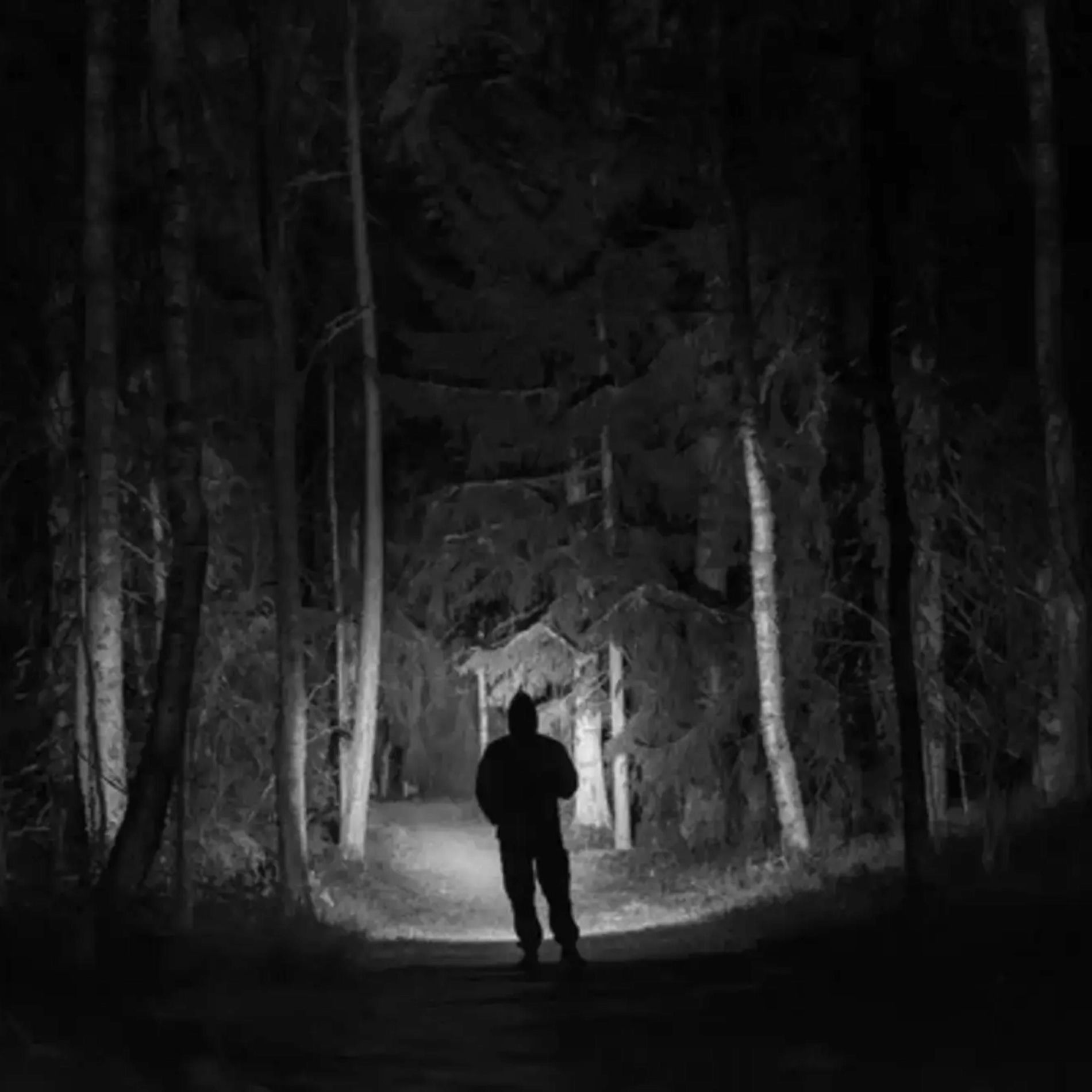 Album cover of Sans Gibi