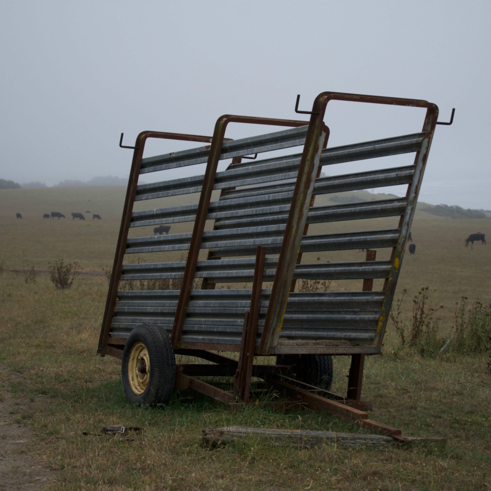 Album cover of Carmel