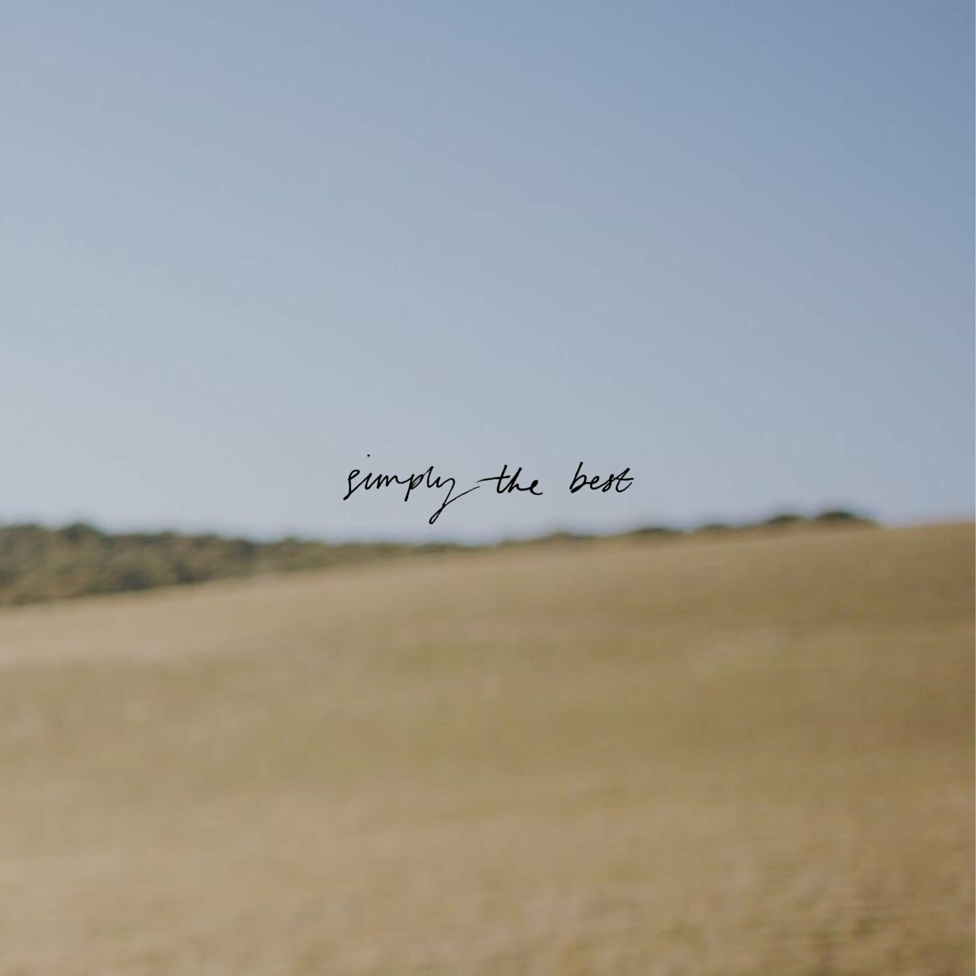 Album cover of Simply The Best