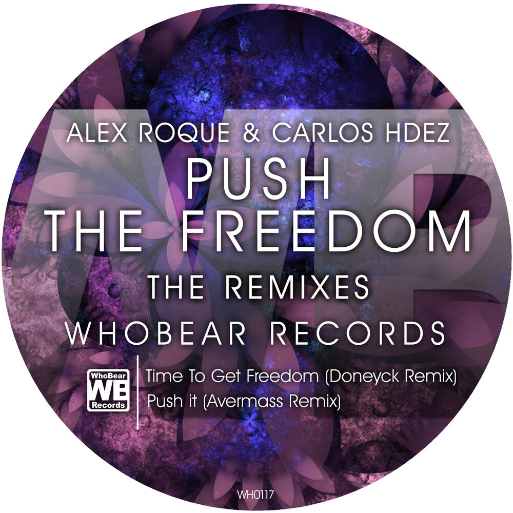 Picture of Push the Freedom (The Remixes)