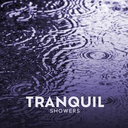 Cover of Tranquil Showers: Balancing Energies with Nature's Tears, Serenity in the Downpour