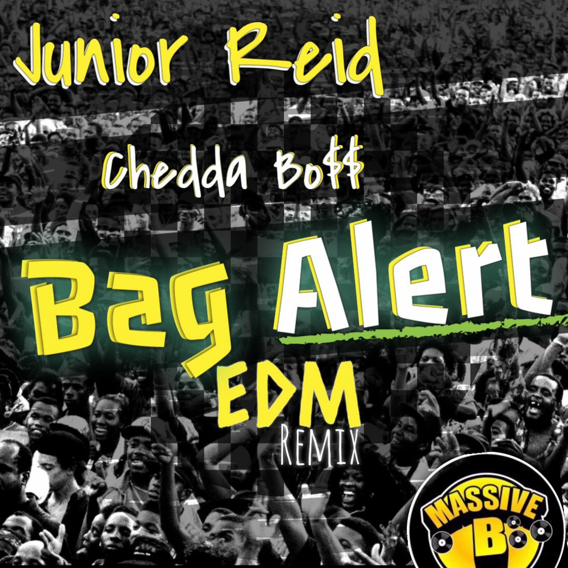 Album cover of Bag Alert (EDM Remix)