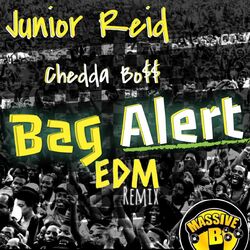 Cover of Bag Alert (EDM Remix)