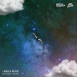 Cover of I Would Never