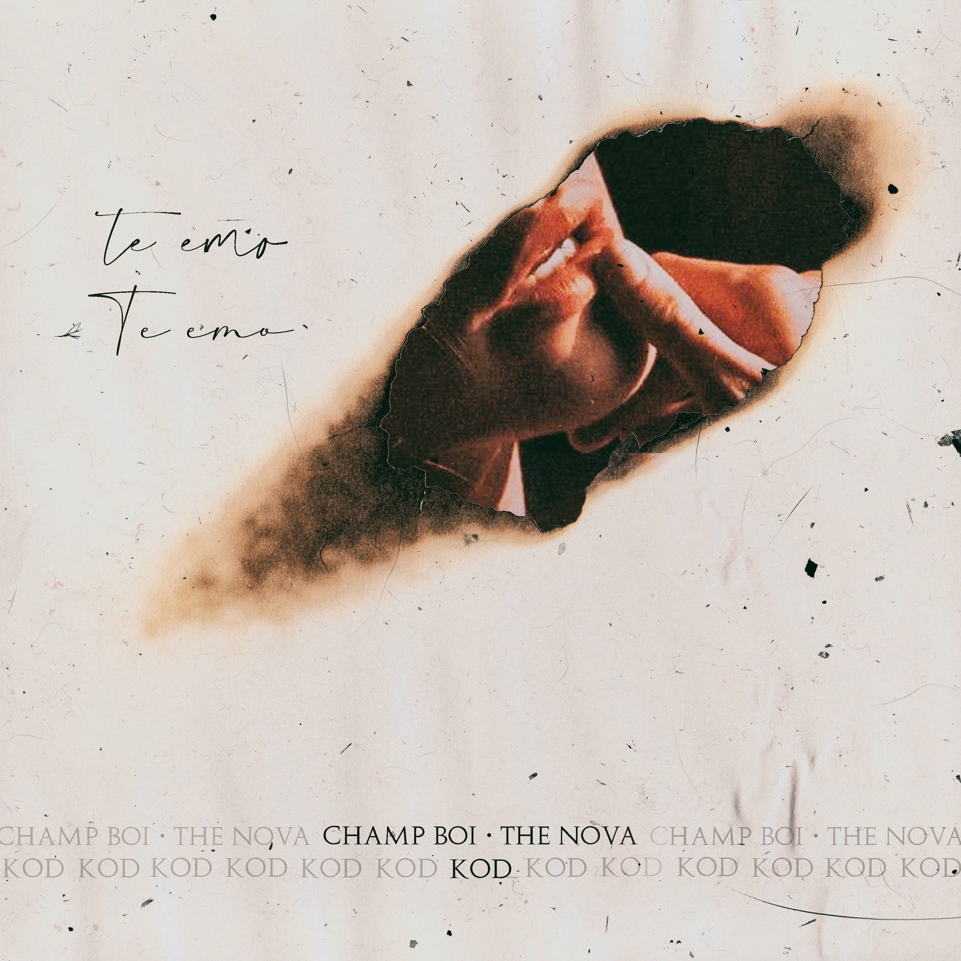 Album cover of TE EMO