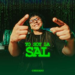 Cover of Yo soy la sal